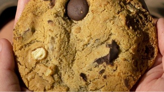 10 Individually Wrapped Cookies